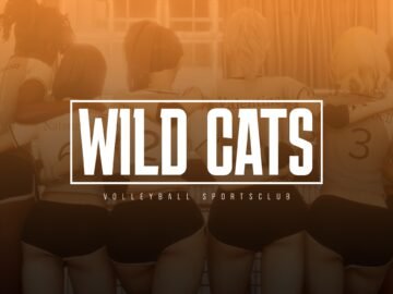 Wild Cats Game [CHAPTER 3] BY [LopaPhi]