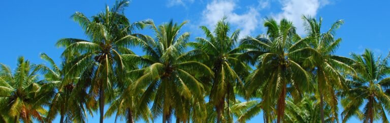 Paradise Found Game Free Download [v0.7]