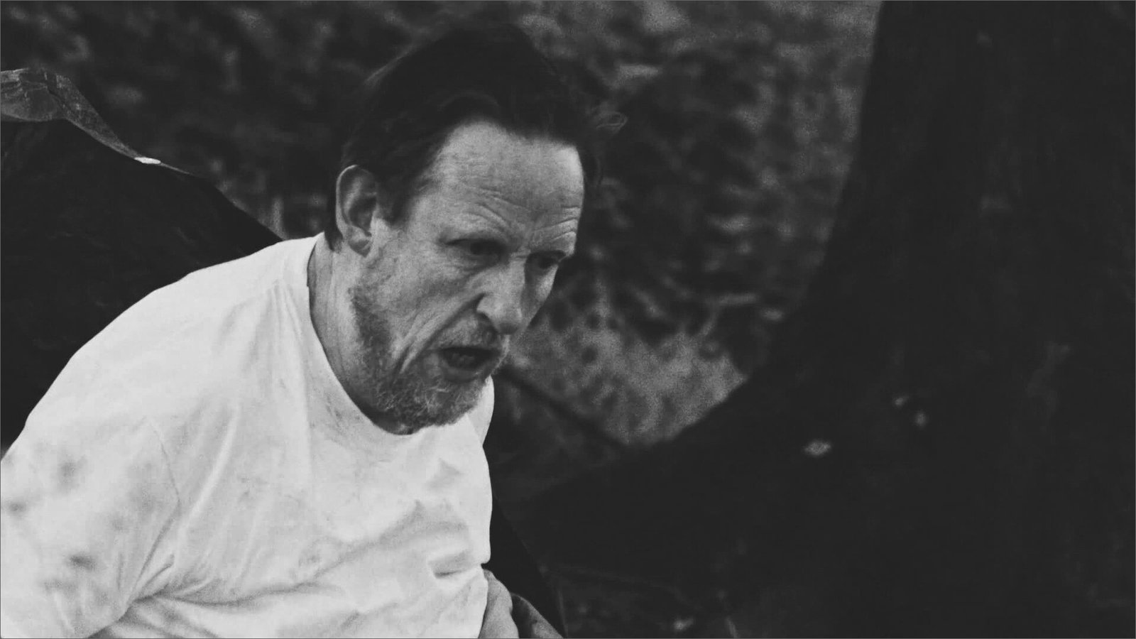 CliveWareGOLD Free Download